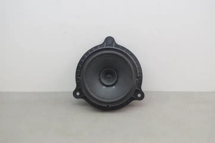 Nissan Juke I F15 (2010 - 2018) Динамики задних дверей — фото 1