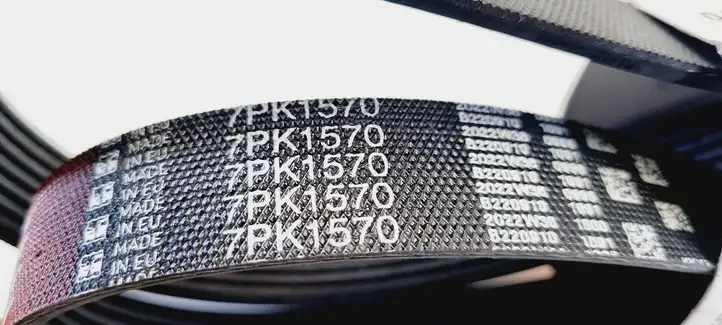 Nissan Qashqai (2010 - 2013) 7PK1570 Ремень генератора — фото 5