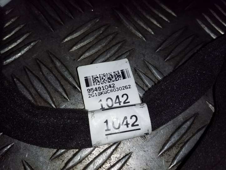 Chevrolet Captiva (2011 - 2013)  95491042 Проводка передних дверей