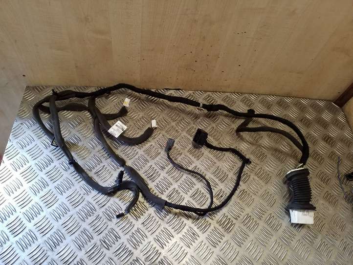 Chevrolet Captiva (2011 - 2013)  95491042 Проводка передних дверей