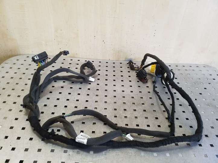 Chevrolet Captiva (2011 - 2013)  95491040 Проводка передних дверей