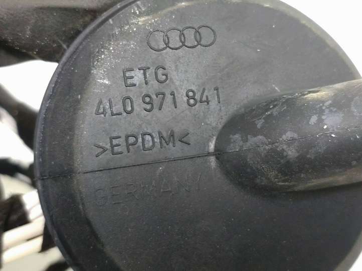 Volkswagen Tiguan (2016 - 2020)  5NB971161H Проводка передних дверей