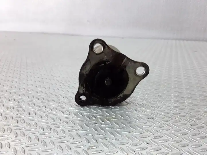 Renault Kangoo I (1997 - 2003)   Клапан EGR