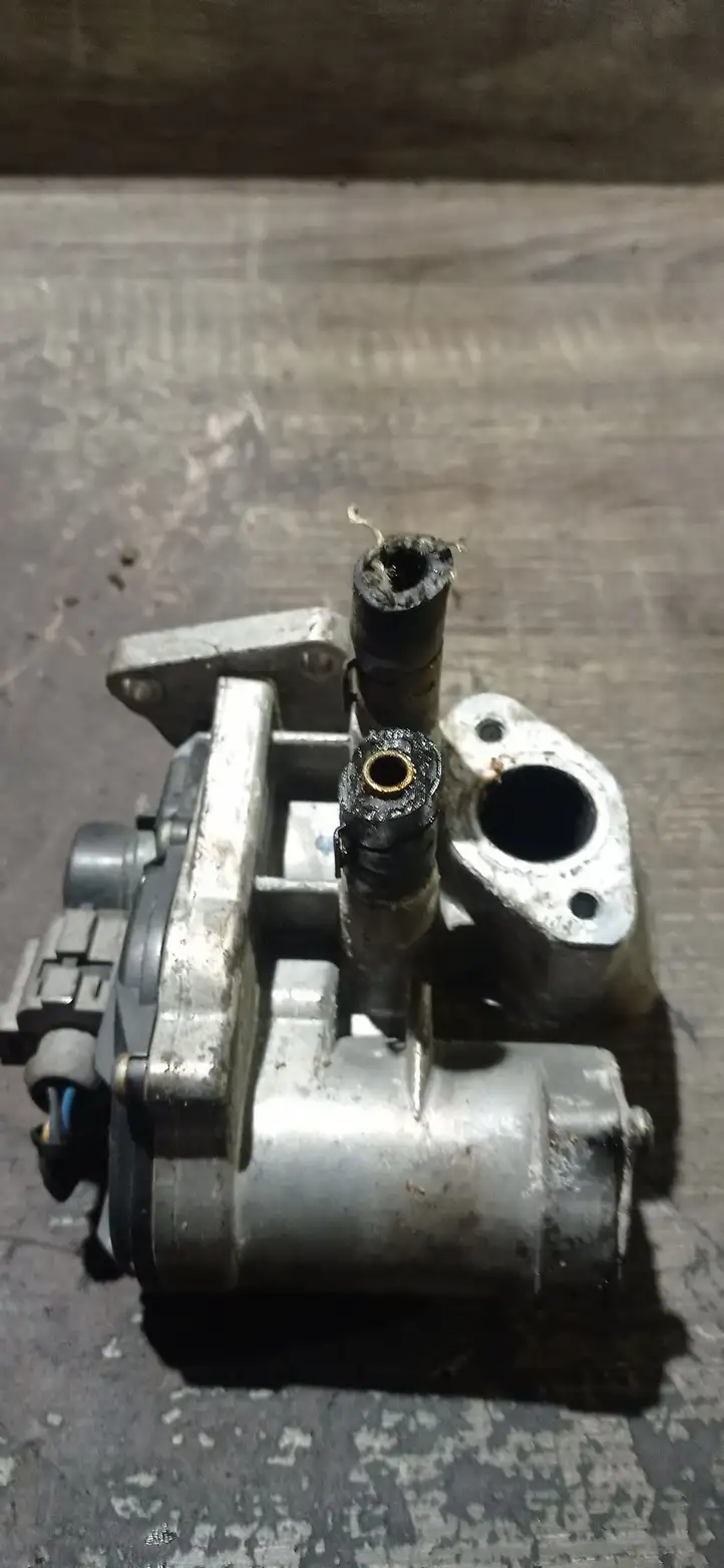 Volkswagen Golf V (2003 - 2009)  03C131503 Клапан EGR