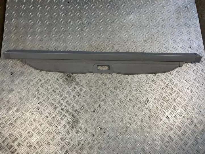 Subaru Forester SG (2006 - 2008) Боковая подушка безопасности шторка — фото 1