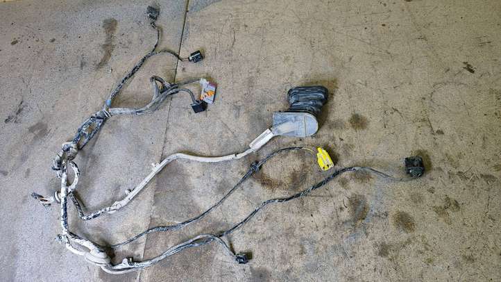Seat Toledo III (5P) (2004 - 2009)  5P1971121E Проводка передних дверей