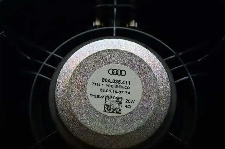 Audi Q5 SQ5 (2012 - 2017) 80A035411 Динамики задних дверей — фото 8