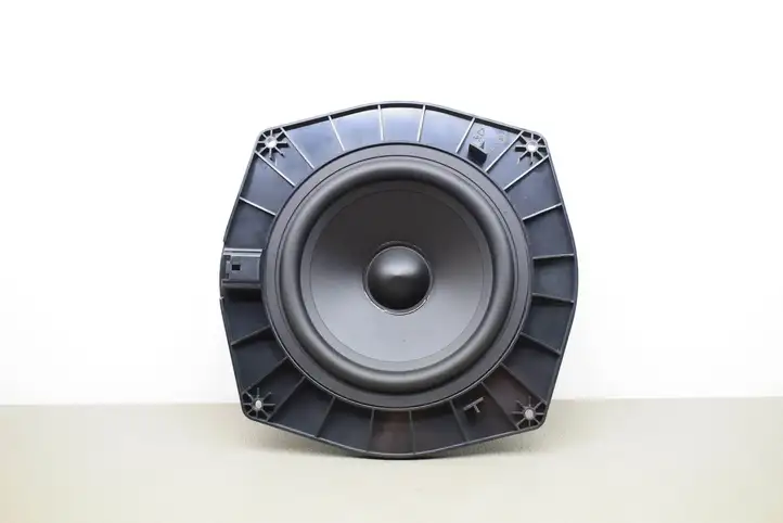 Land Rover Range Rover Sport L494 (2013 - 2017) DPLA18808BB Динамики передних дверей — фото 1