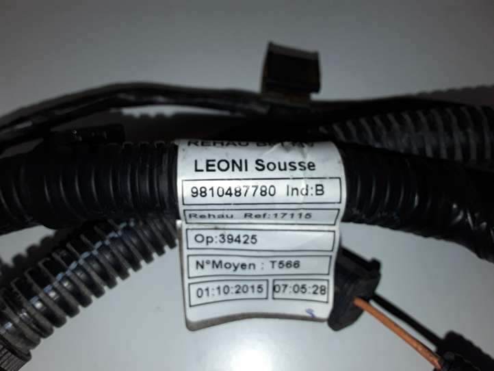 Citroen C4 Picasso (2016 - 2018)  9810487780 Проводка датчиков парковки