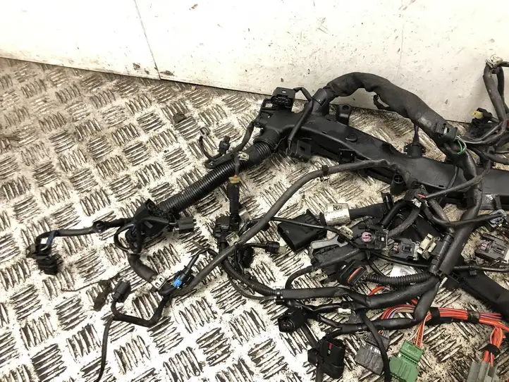 Mercedes-Benz C W204 (2007 - 2014) A6510102111 Проводка двигателя — фото 9