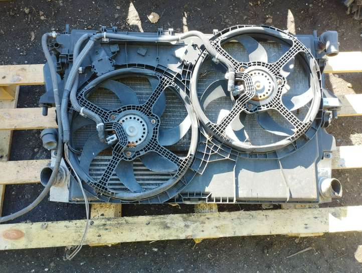 Fiat Ducato (2002 - 2006)  1362308080 Комплект радиаторов
