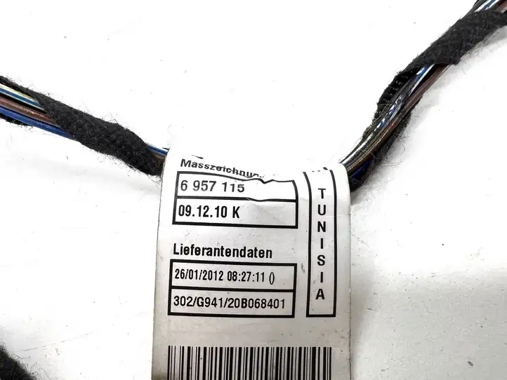 BMW 3 E92 E93 (2005 - 2014) 6957115 Проводка передней двери — фото 2