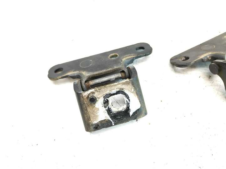 Fiat Scudo (2007 - 2016)  3000345500A Петля (петли) задней крышки
