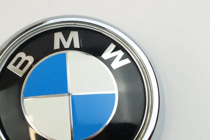 BMW X3 F25 (2010 - 2017) 7364375 Эмблема производителя — фото 6