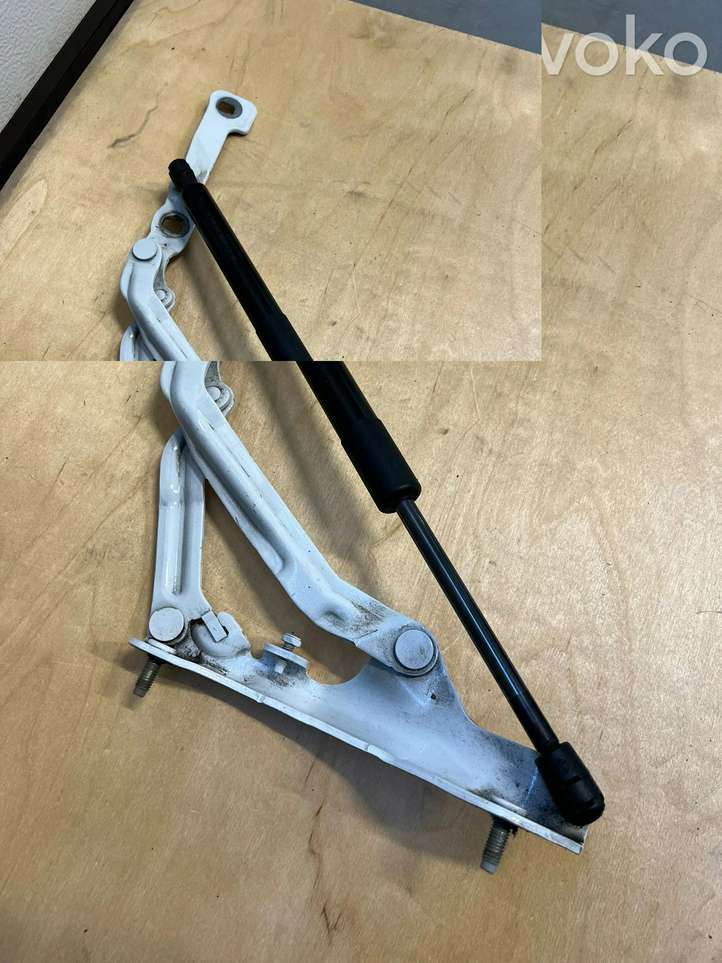 Tesla Model 3 (2017 - 2023)  155148100B Петля (петли) задней крышки