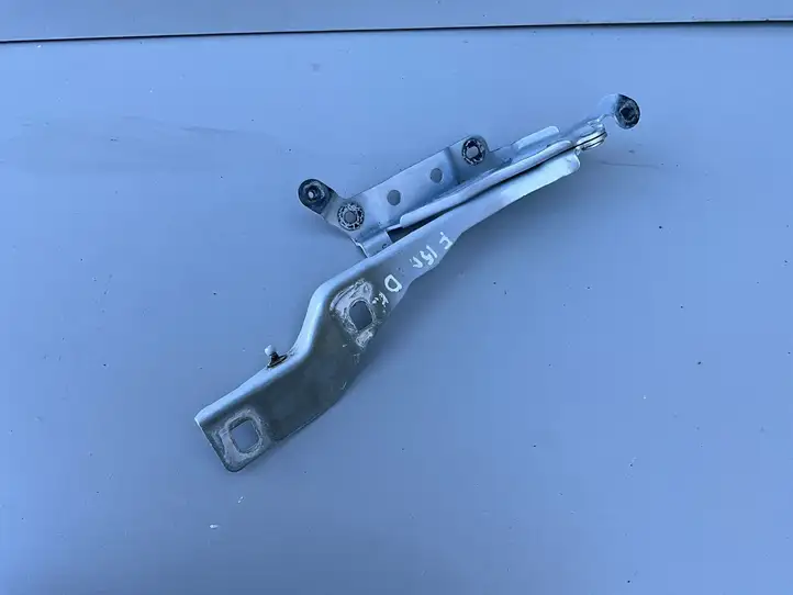 Ford F150 (2018 - 2020) Петли капота — фото 1