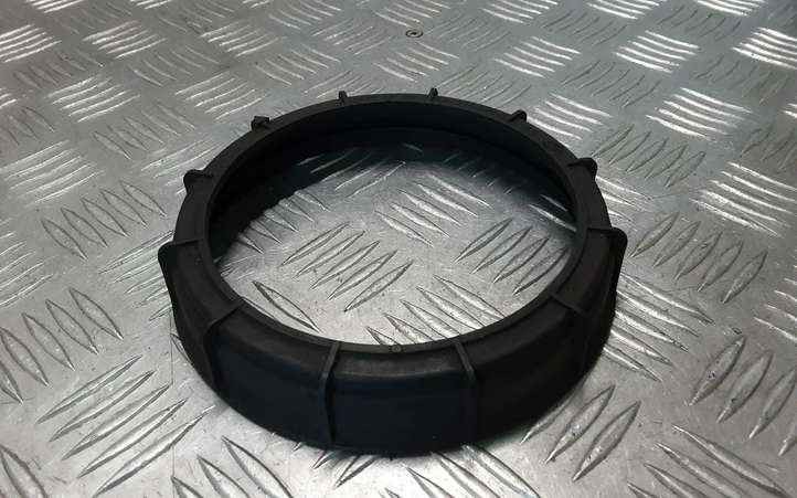 Renault Megane II (2002 - 2005)  09701687000 Гайка топливного насоса (топливного бака)