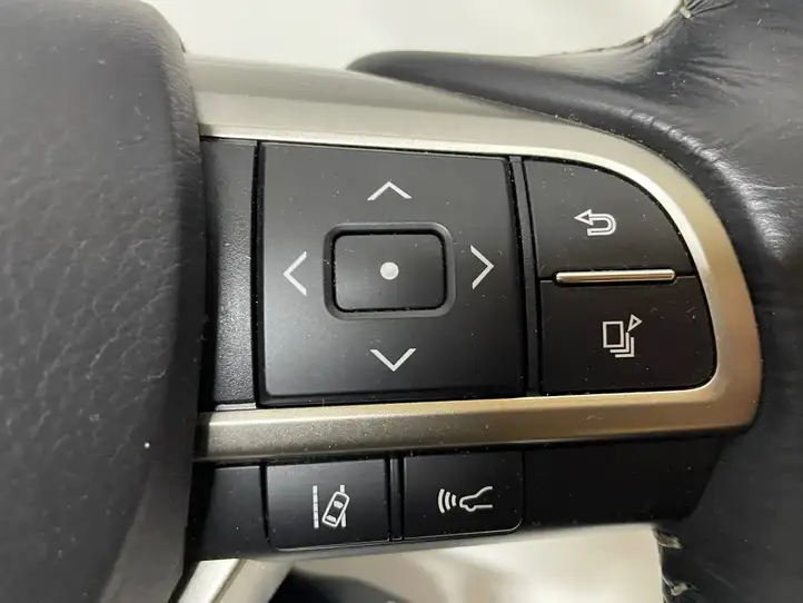Lexus RX 450H (2015 - 2019) Руль — фото 6