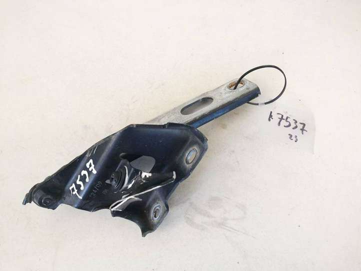 Audi A5 (2007 - 2011)  8t0823302e Петля (петли) капота