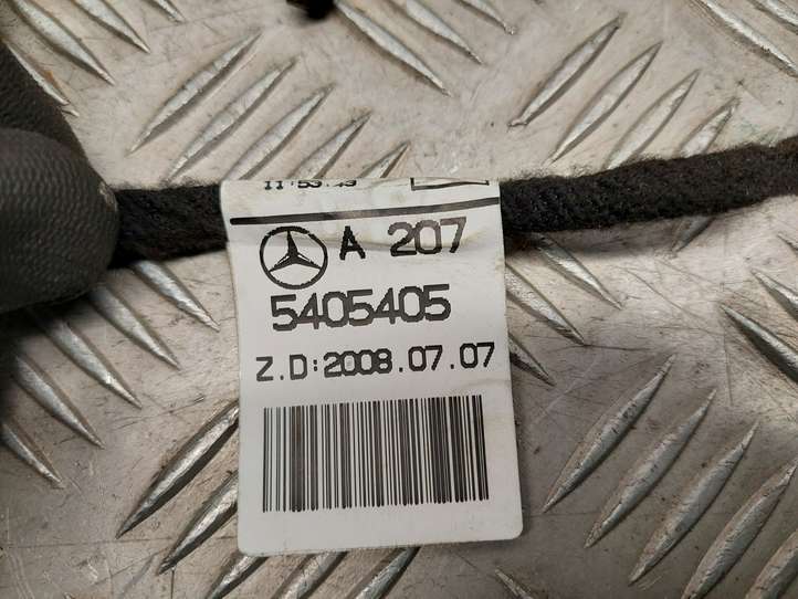Mercedes-Benz E C207 W207 (2009 - 2017)  A2075405405 Проводка передних дверей