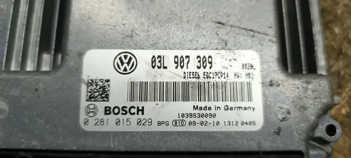 Volkswagen PASSAT CC (2008 - 2012) 03L907309 Блок управления двигателем (ЭБУ) — фото 4