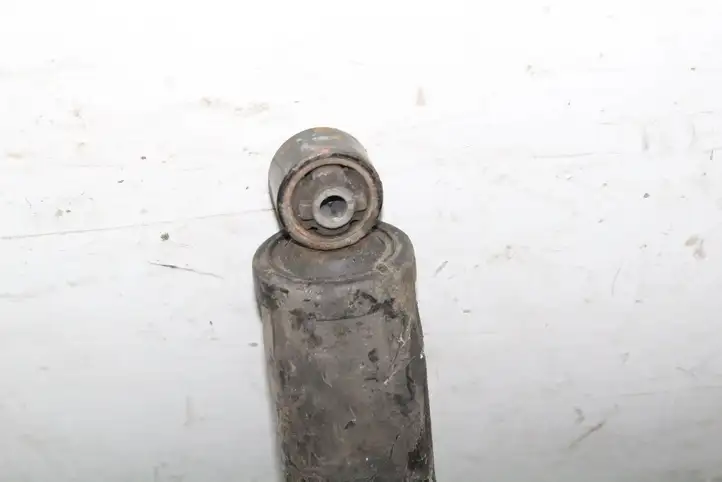 Opel Antara (2011 - 2017) Задний aмортизатор — фото 2
