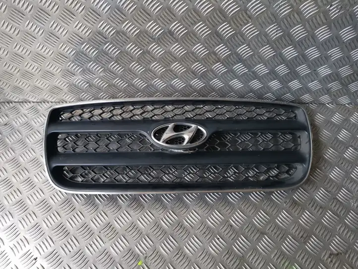 Hyundai Santa Fe (2005 - 2009) E865612B010 Верхняя решетка радиатора — фото 1