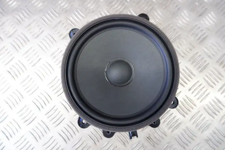 Tesla Model Y (2019 - 2024)  107974400E Громкоговоритель (громкоговорители) в передних дверях