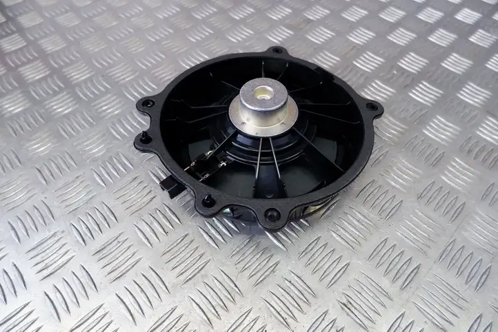 Tesla Model Y (2019 - 2024)  107974400E Громкоговоритель (громкоговорители) в передних дверях