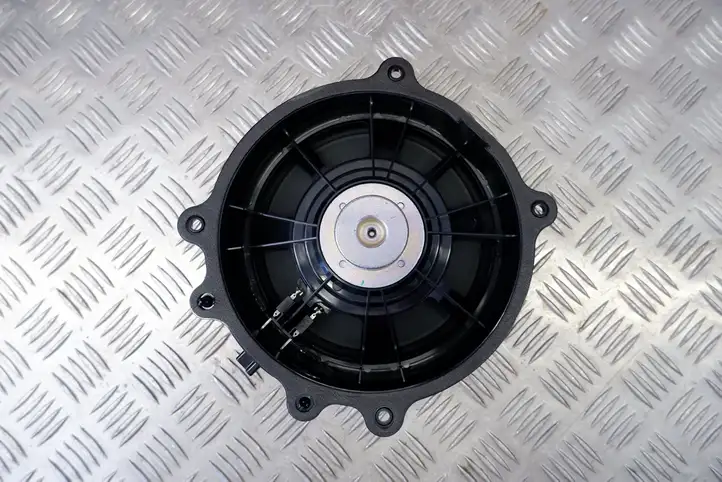 Tesla Model Y (2019 - 2024)  107974400E Громкоговоритель (громкоговорители) в передних дверях