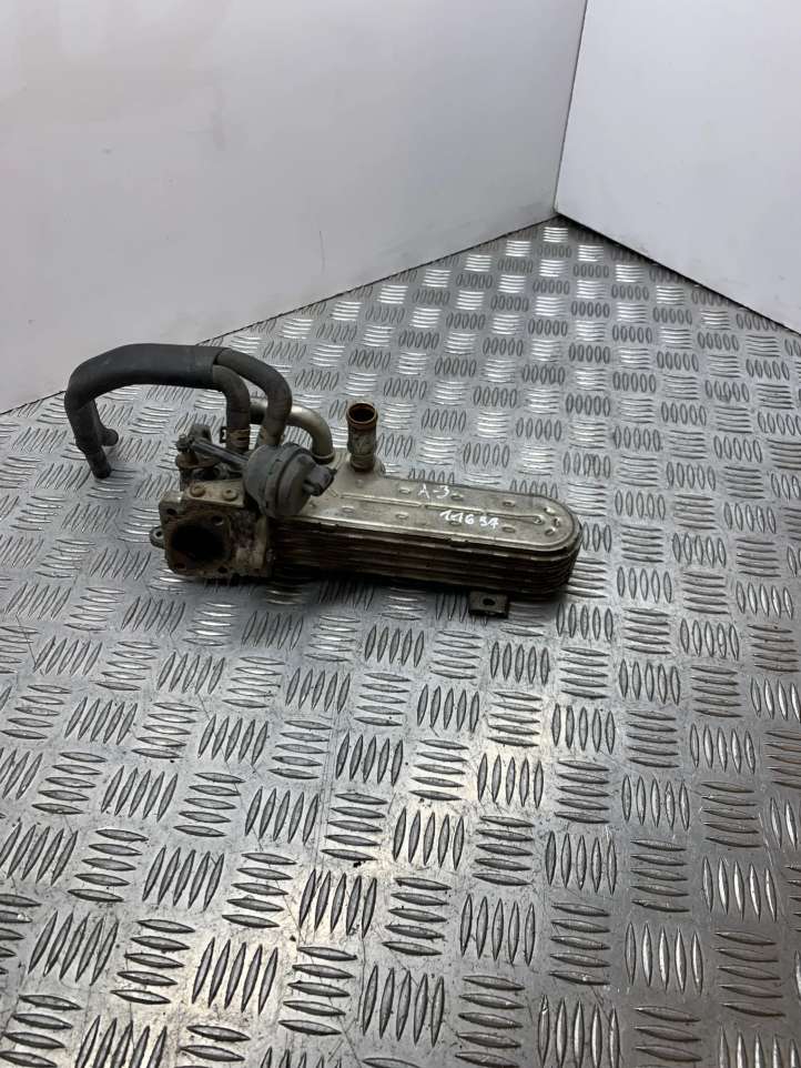 Audi A3/S3 8P (2003 - 2005)  03G131513J Охладитель EGR