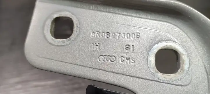 Audi Q5 SQ5 (2017 - ) 8R0827300B Петли крышки багажника — фото 4