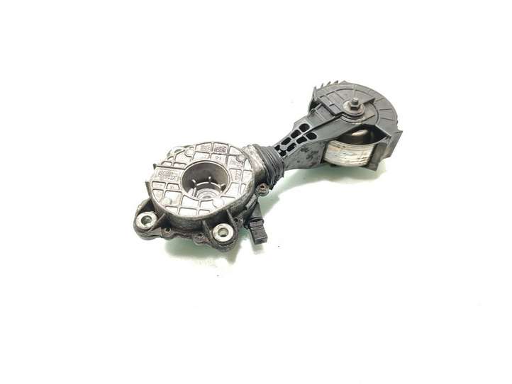 Peugeot 207 (2006 - 2009)  V75488488007 Натяжитель ремня генератора