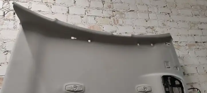 Ford Mondeo MK IV (2007 - 2014) Потолочная обшивка — фото 2