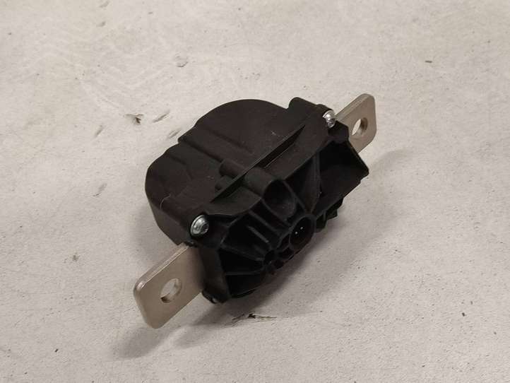 Tesla Model Y (2019 - 2024)  106468900I Предохранитель