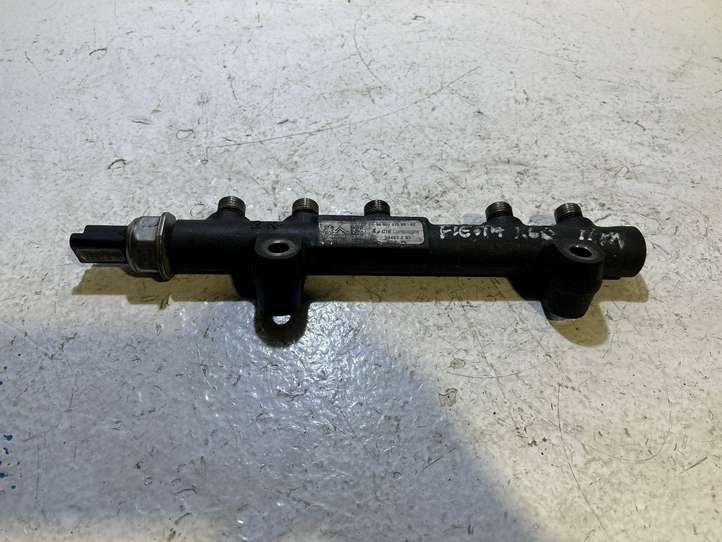Ford Fiesta (2009 - 2012)  9685297580 Магистральная трубка топлива