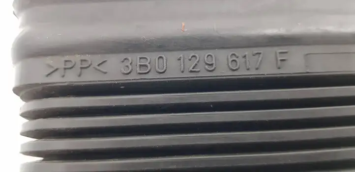 Volkswagen PASSAT B5.5 (2001 - 2005) 3B0129617F Детали воздухозаборника — фото 3