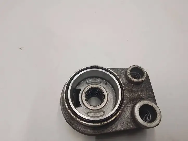 Nissan Qashqai (2013 - 2017) 213059324R Кронштейн масляного фильтра — фото 2