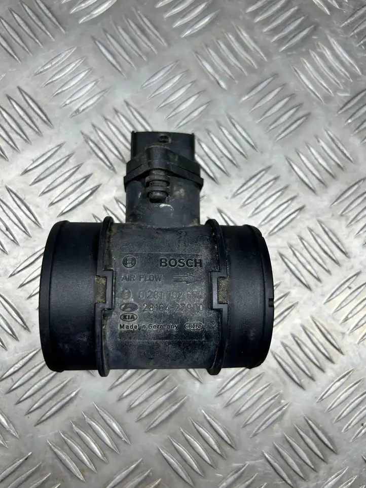 Hyundai Santa Fe (2000 - 2005) 0281002660 Датчик массового расхода воздуха — фото 1