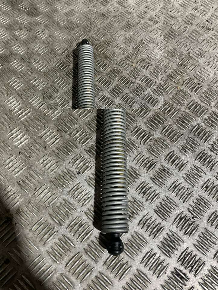 BMW 7 F01 F02 F03 F04 (2008 - 2016)  7185905 Амортизатор крышки багажника