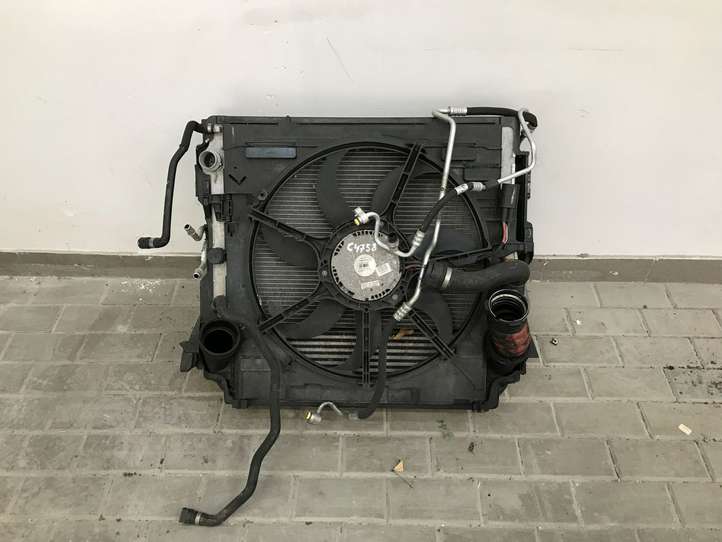 BMW X5 E70 (2006 - 2013)  850974602 Комплект радиаторов