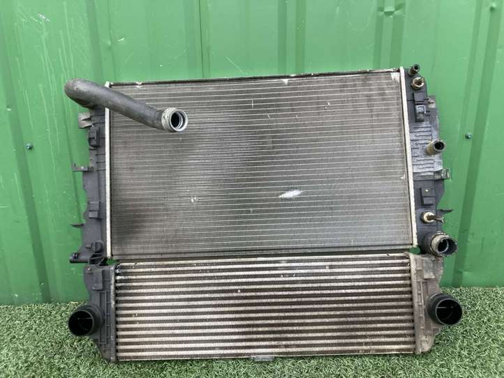 Mercedes-Benz Sprinter W906 (2006 - 2018)  9065000402 Радиатор охлаждающей жидкости