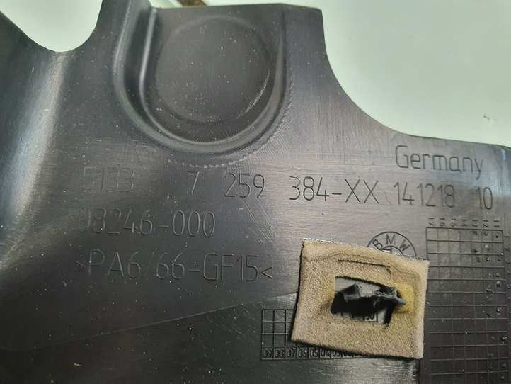 BMW 3 F30 F35 F31 (2012 - 2018)  51337259384 Другая деталь отделки пере́дней дверей