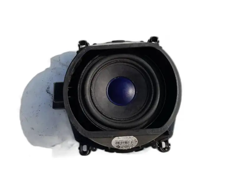 BMW X5 E70 (2006 - 2013)  430407858641 Громкоговоритель (громкоговорители) в передних дверях