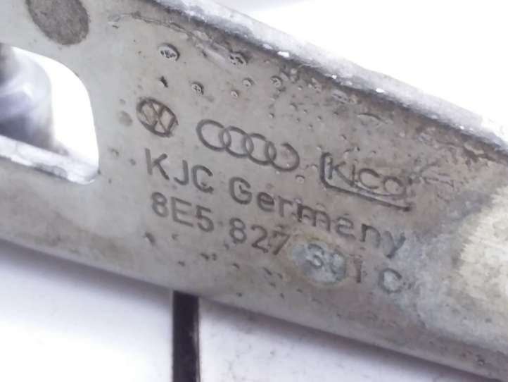 Audi A4 (2004 - 2009)  8E5827301C Петля (петли) задней крышки