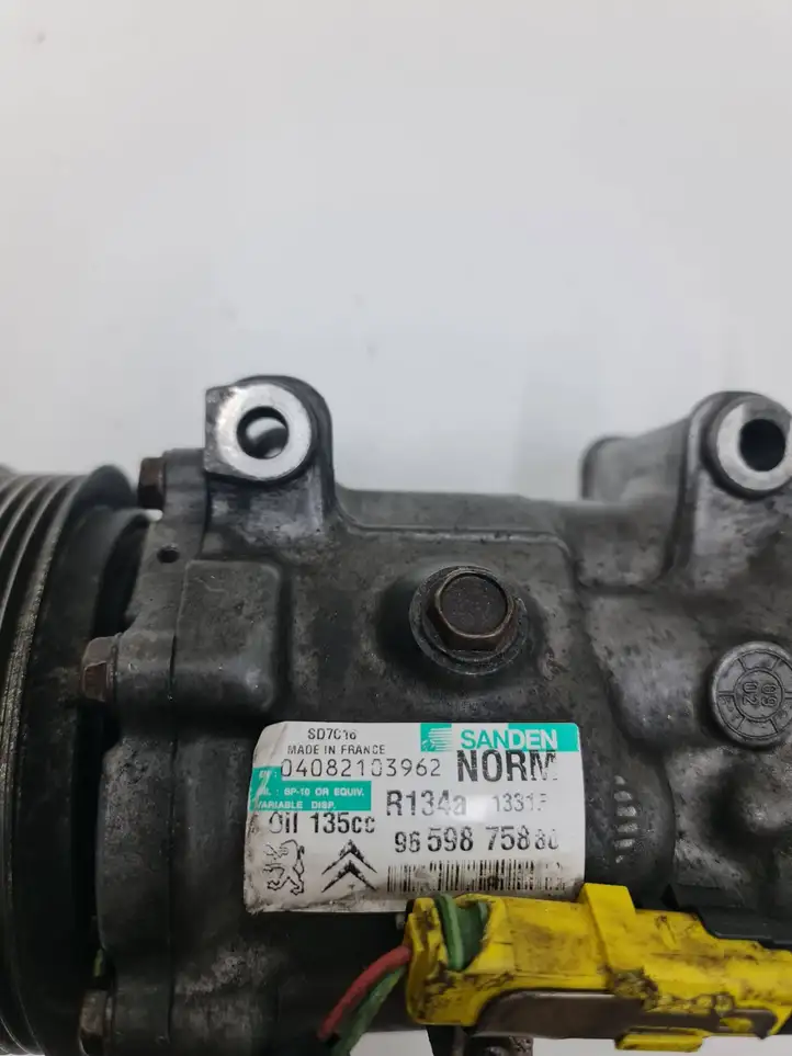 Citroen C4 I Picasso (2006 - 2013) 9659875880 Компрессор (насос) кондиционера воздуха — фото 2
