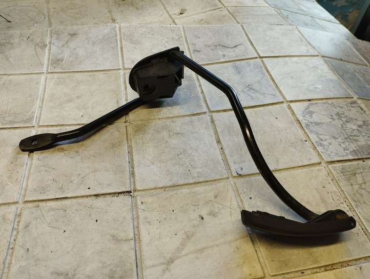 Renault Kangoo I (1997 - 2003)  417893 Педаль акселератора