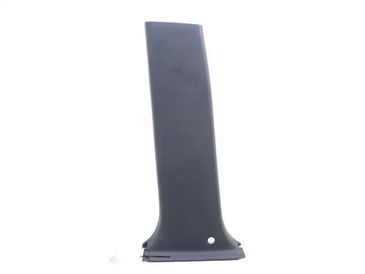 Toyota Land Cruiser (J120) (2002 - 2009) 6241460070 Нижняя обшивка стойки B — фото 1