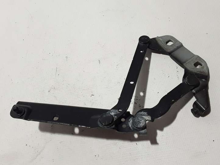 Land Rover Range Rover Evoque (2011 - 2015)  6H5216801AC Петля (петли) капота