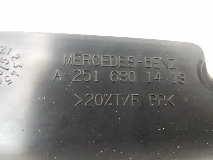 Mercedes-Benz R W251 (2005 - 2013) A2516801418 Прочие детали салона — фото 2